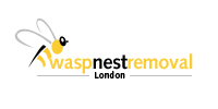 Wasp Nest Removal